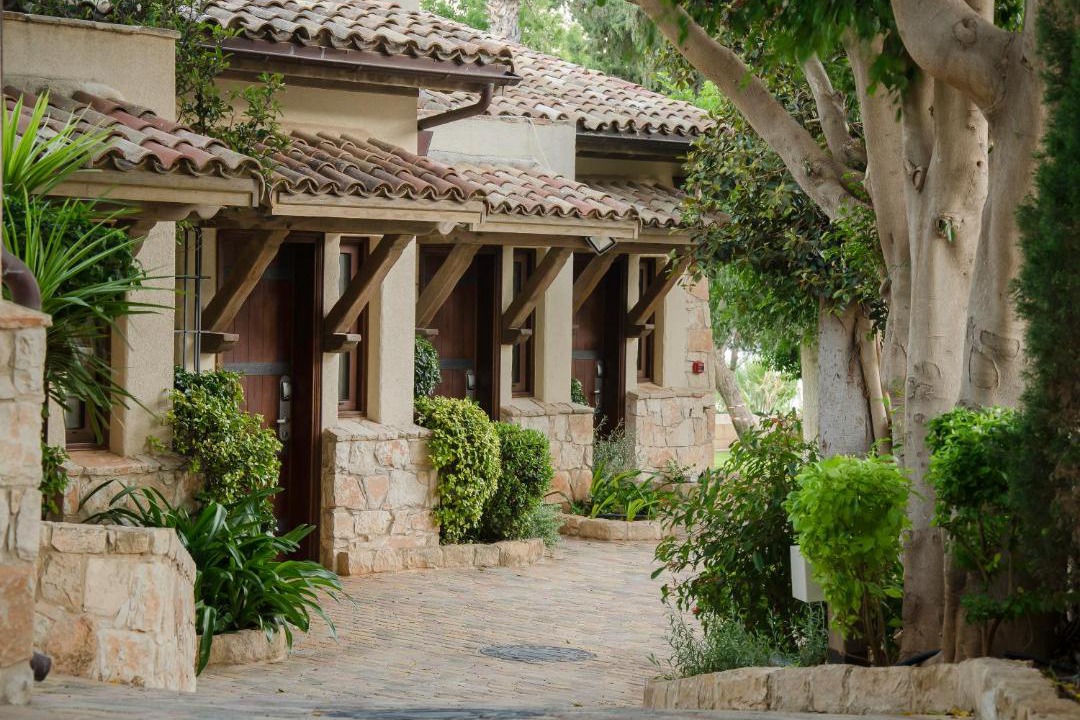 Photo of Others in Pissouri