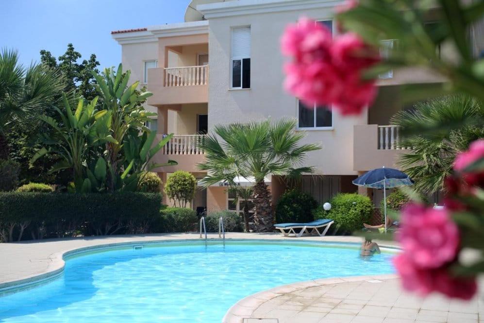 Photo of Others in Paphos
