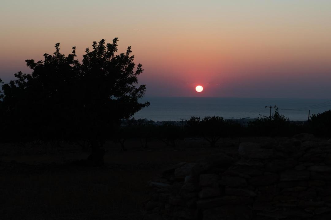 Photo of Outdoor in Pegeia