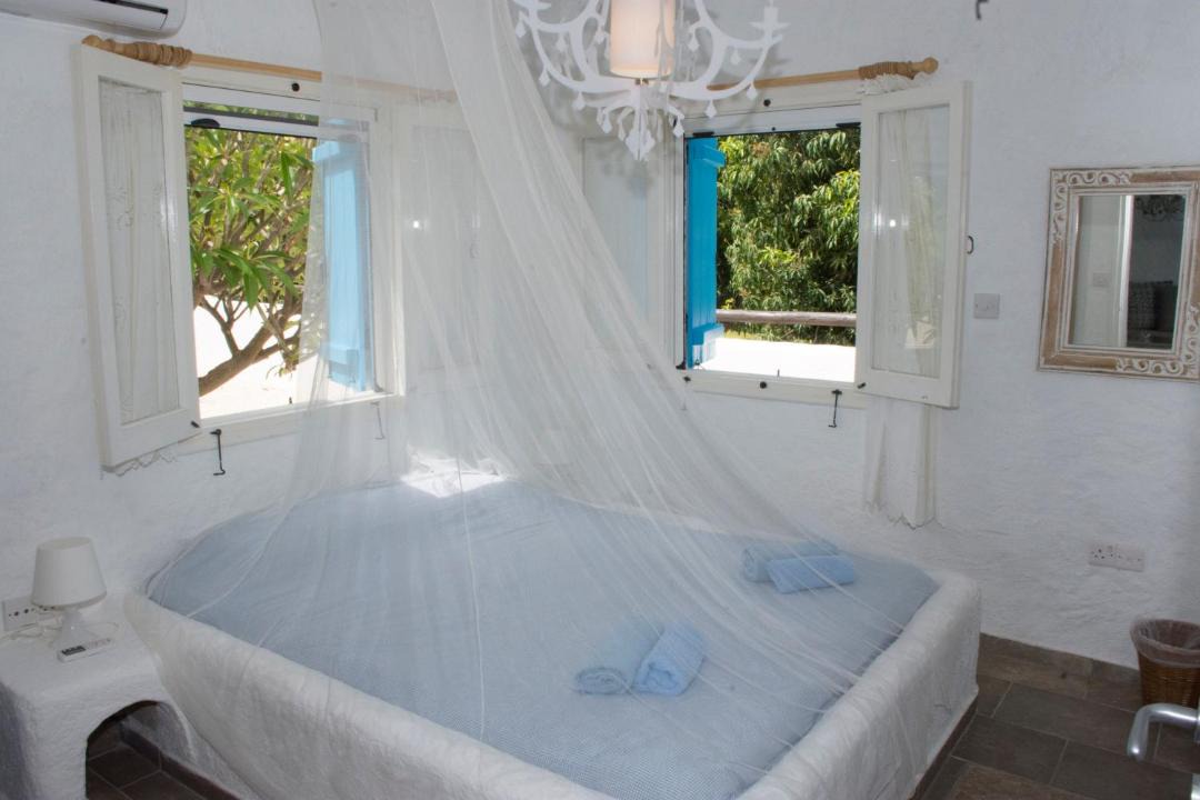 Photo of Others in Pomos