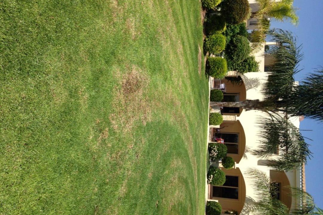 Photo of Others in Mandria