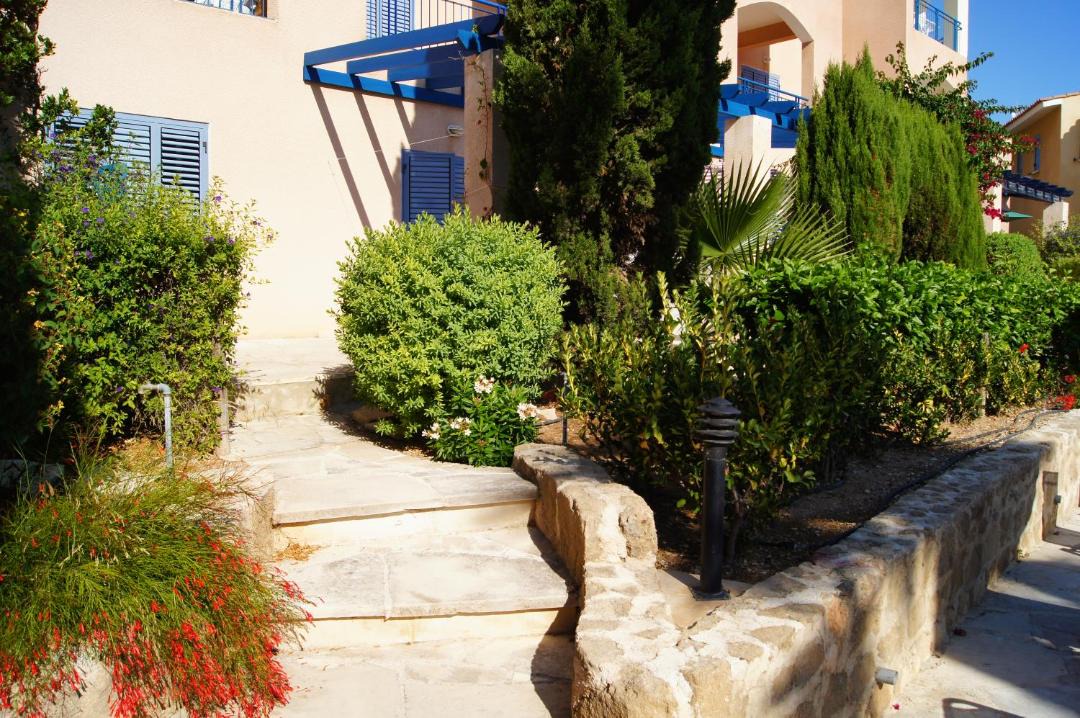 Photo of Others in Paphos