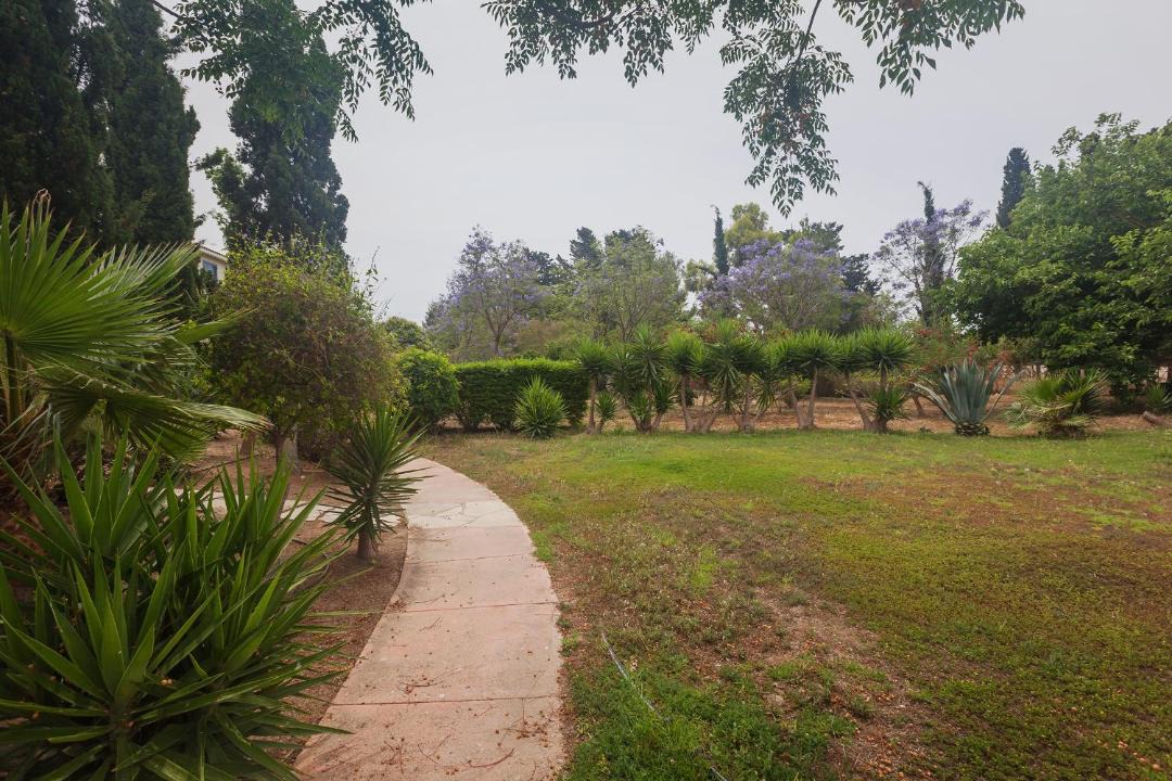 Photo of Outdoor in Paphos