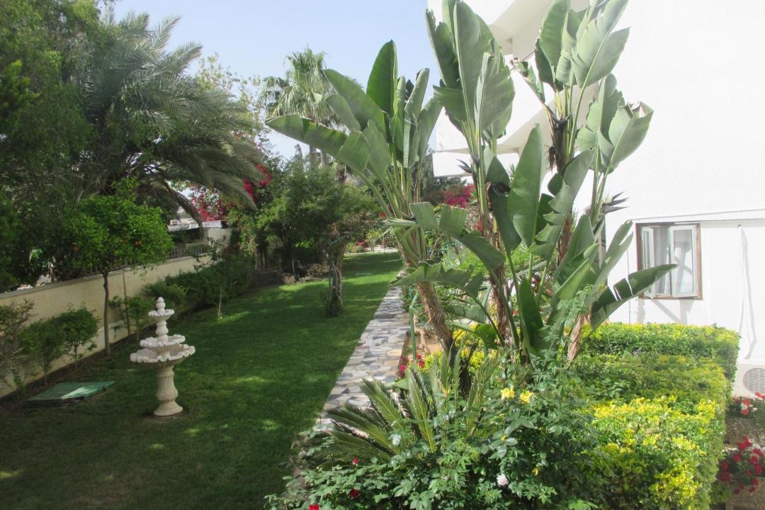 Photo of Others in Pyla
