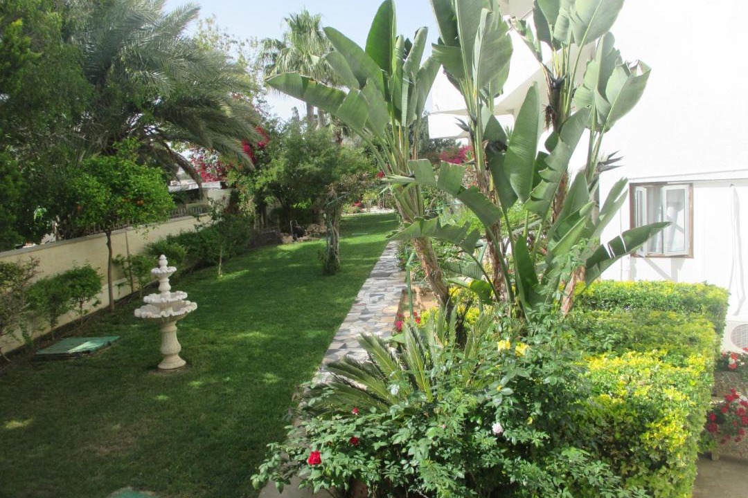Photo of Others in Pyla
