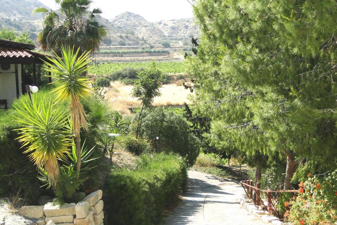 Photo of Others in Pissouri