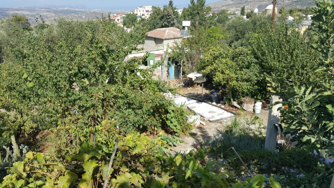 Photo of Others in Simou