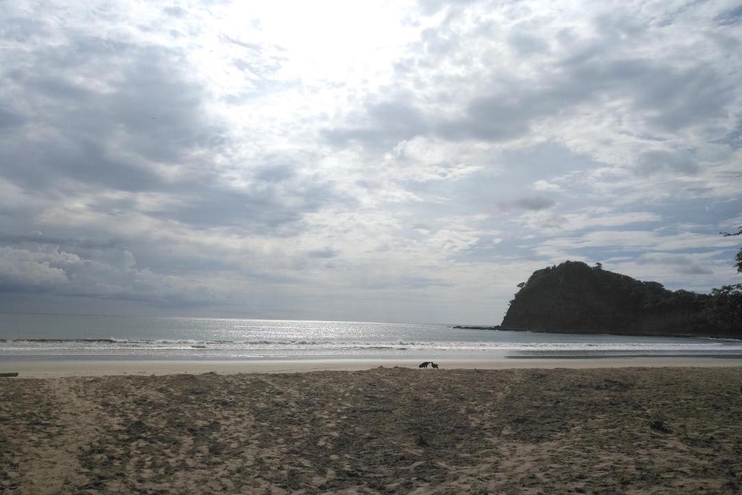 Photo of Others in San Juan del Sur