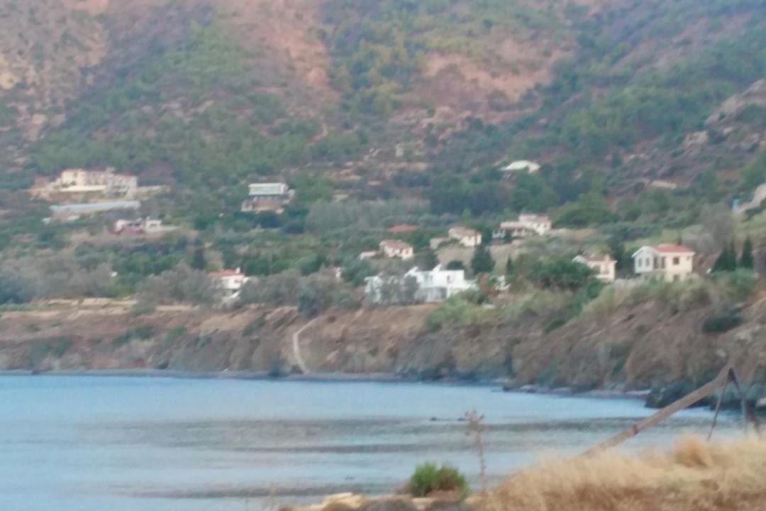 Photo of Others in Pachyammos