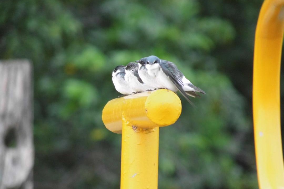 Photo of Others in Santa Cruz