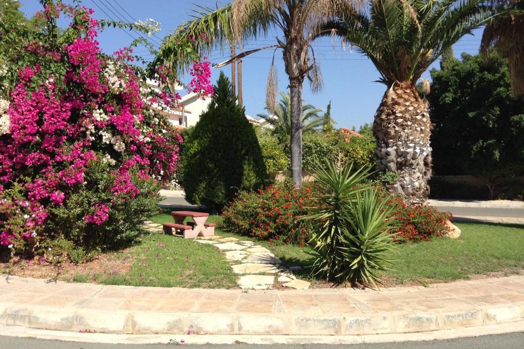 Photo of Others in Pissouri