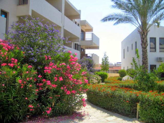 Photo of Buildings in Mazotos