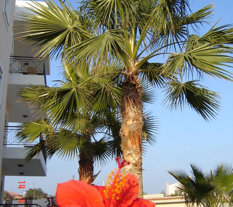 Photo of Others in Pyrgos