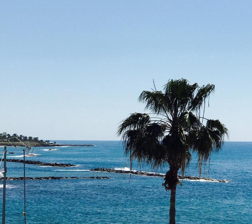 Photo of Others in Paphos