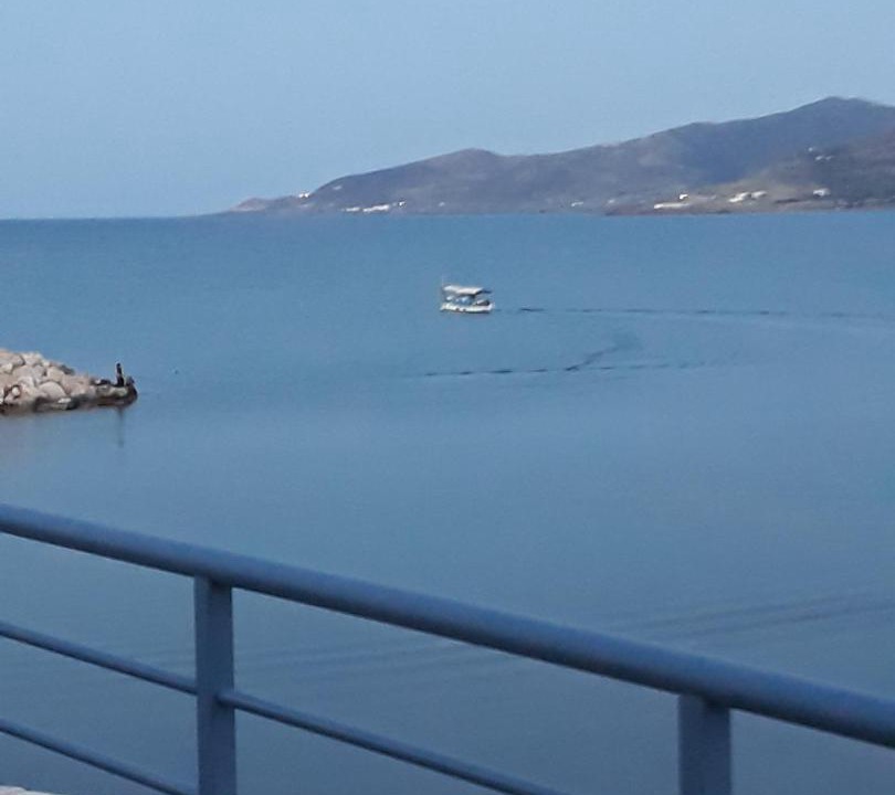 Photo of Outdoor in Pomos
