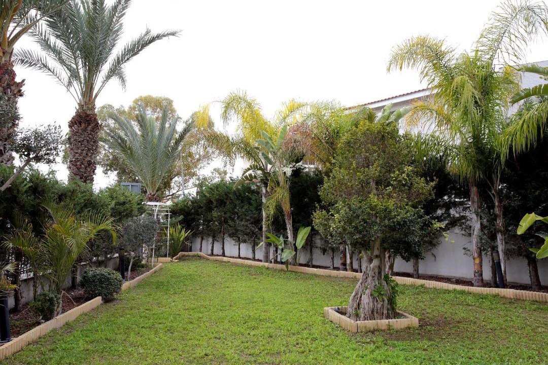 Photo of Others in Larnaca District