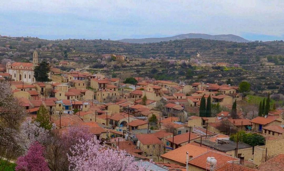 Photo of Outdoor in Lofou