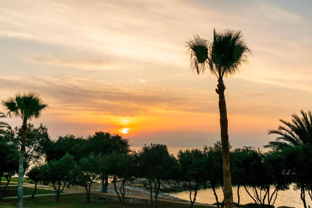 Photo of Others in Agios Theodoros