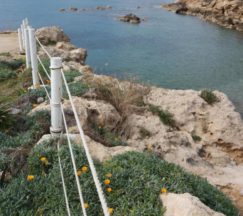 Photo of Outdoor in Chlorakas