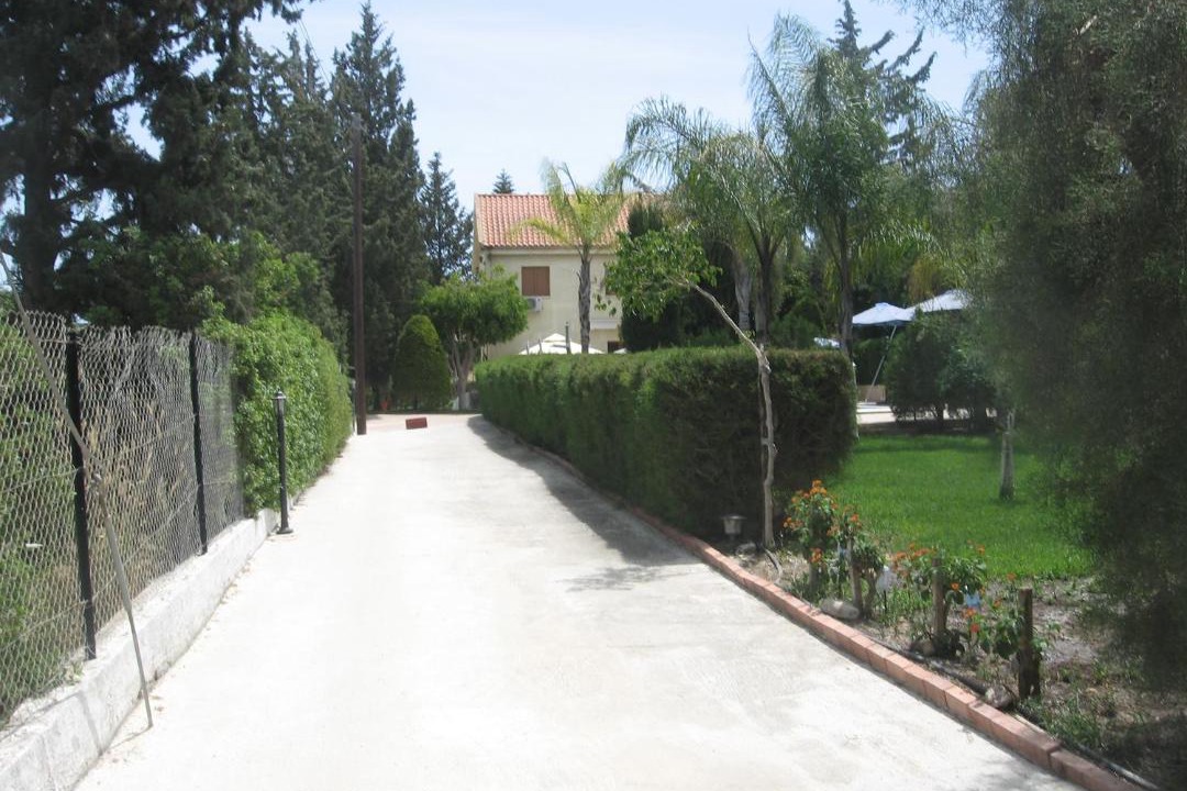 Photo of Others in Pissouri