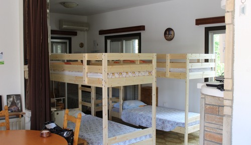 Traditional Shared Dormitory, Women only, Accessible, Garden View