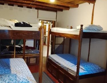 Single Bed in 6-Bed Dormitory Room