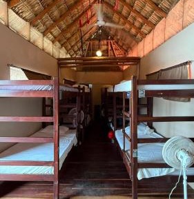 10-Bed Mixed Dormitory Room