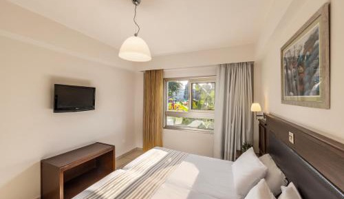 Superior One-Bedroom Apartment