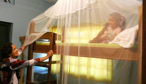 4-Bed Mixed Dormitory Room