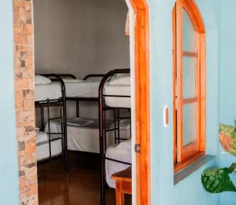 Bed in 6-Bed Dormitory Room