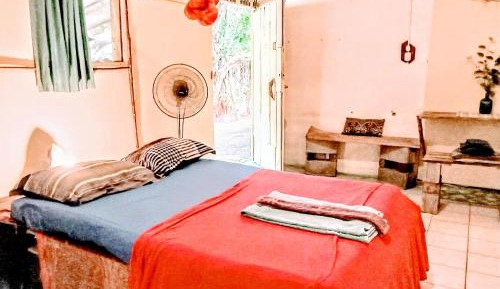 Single Bed in Female Dormitory Room