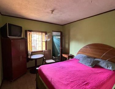 King Room with Garden View