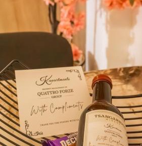 Deluxe One-Bedroom Apartment