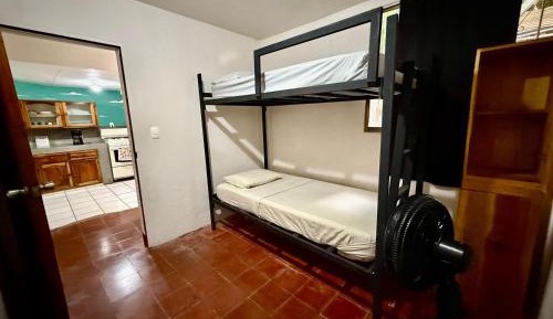 Bunk Bed in Mixed Dormitory Room