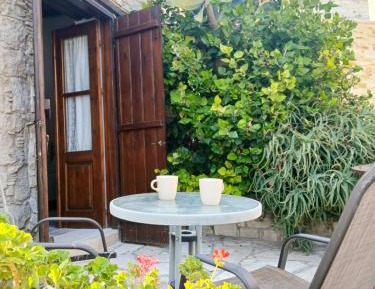 Studio with Terrace