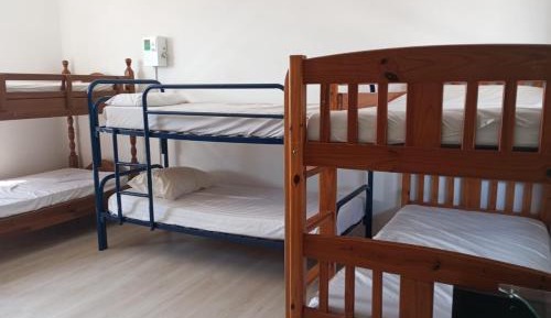 Single Bed in 6-Bed Dormitory Room