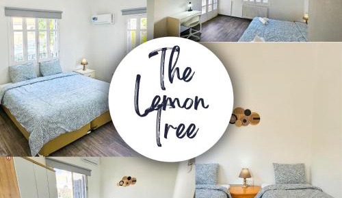 Single Room with Shared Bathroom