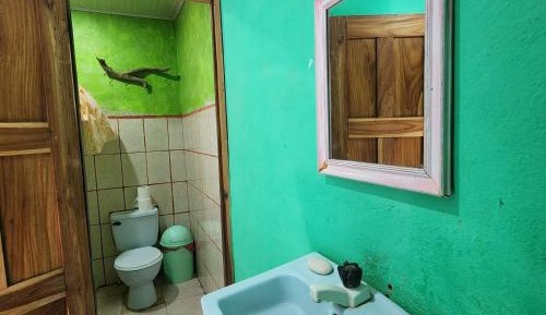 Mixed Dormitory Room