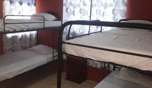 Bed in 4-Bed Dormitory Room