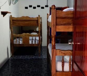 Bunk Bed in Mixed Dormitory Room