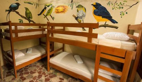 Single Bed in Dormitory Room