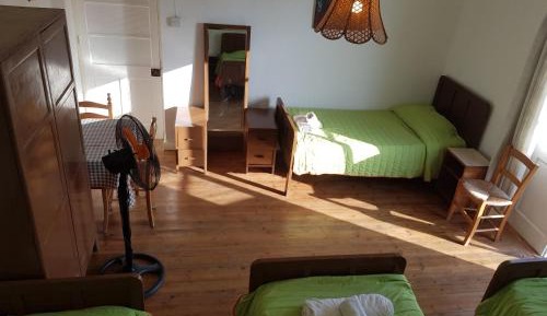 Single Bed in Mixed Dormitory Room