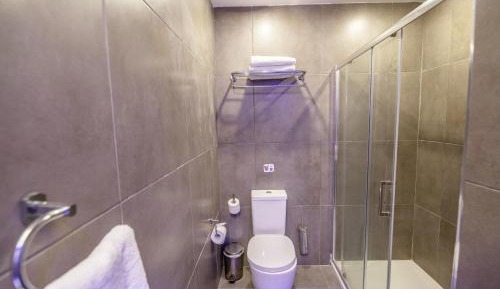 Deluxe One - Bedroom Apartment