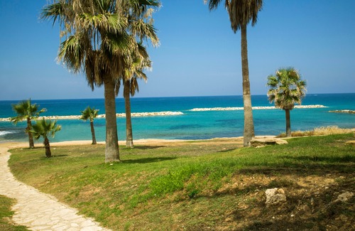 Paphos Hotel | Venus Beach Hotel