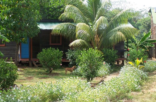 Little Corn Island Bed & Breakfast | BeDoBe