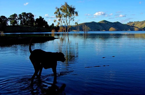 Yarra Glen Cabin | Spacious Holiday Accommodation with Views of the Valley near Dixon Creek, Victoria
