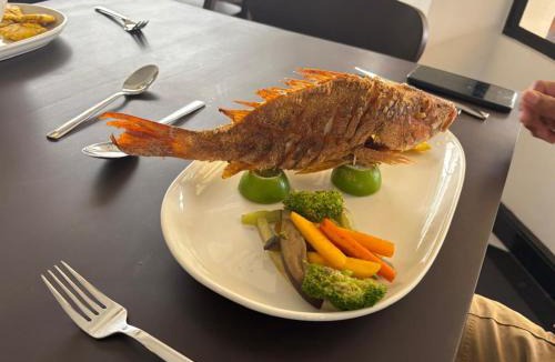 Diriamba Hotel | Hotel San Sebastian