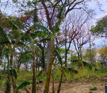 Lago de Apoyo House | Finca Cazzanica