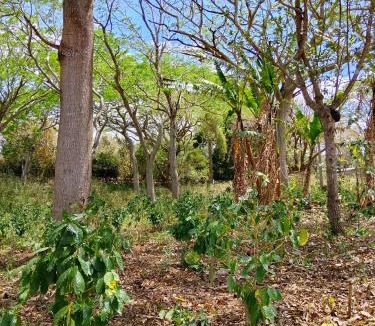 Lago de Apoyo House | Finca Cazzanica