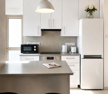 Acropolis Apartment | Spacious Apartment in Nicosia Landmark Hotel Area - Stasinou By Platform 357